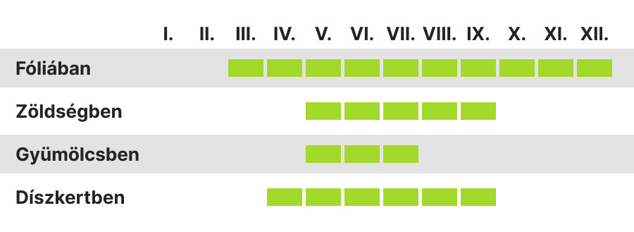 Az Amazon ajánlott felhasználási ideje