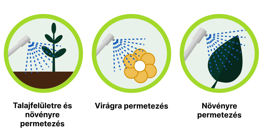 Az AmazoN kijuttatási módjai