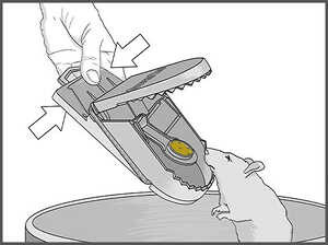 Supercat patkánycsapda használata 3